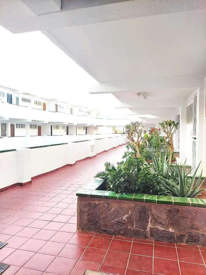 Blu Apartment, Wifi Free Pool View Costa Del Silencio Tatil Evi